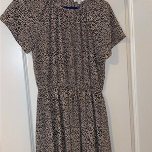 Elegant Black and Cream Women's Dress